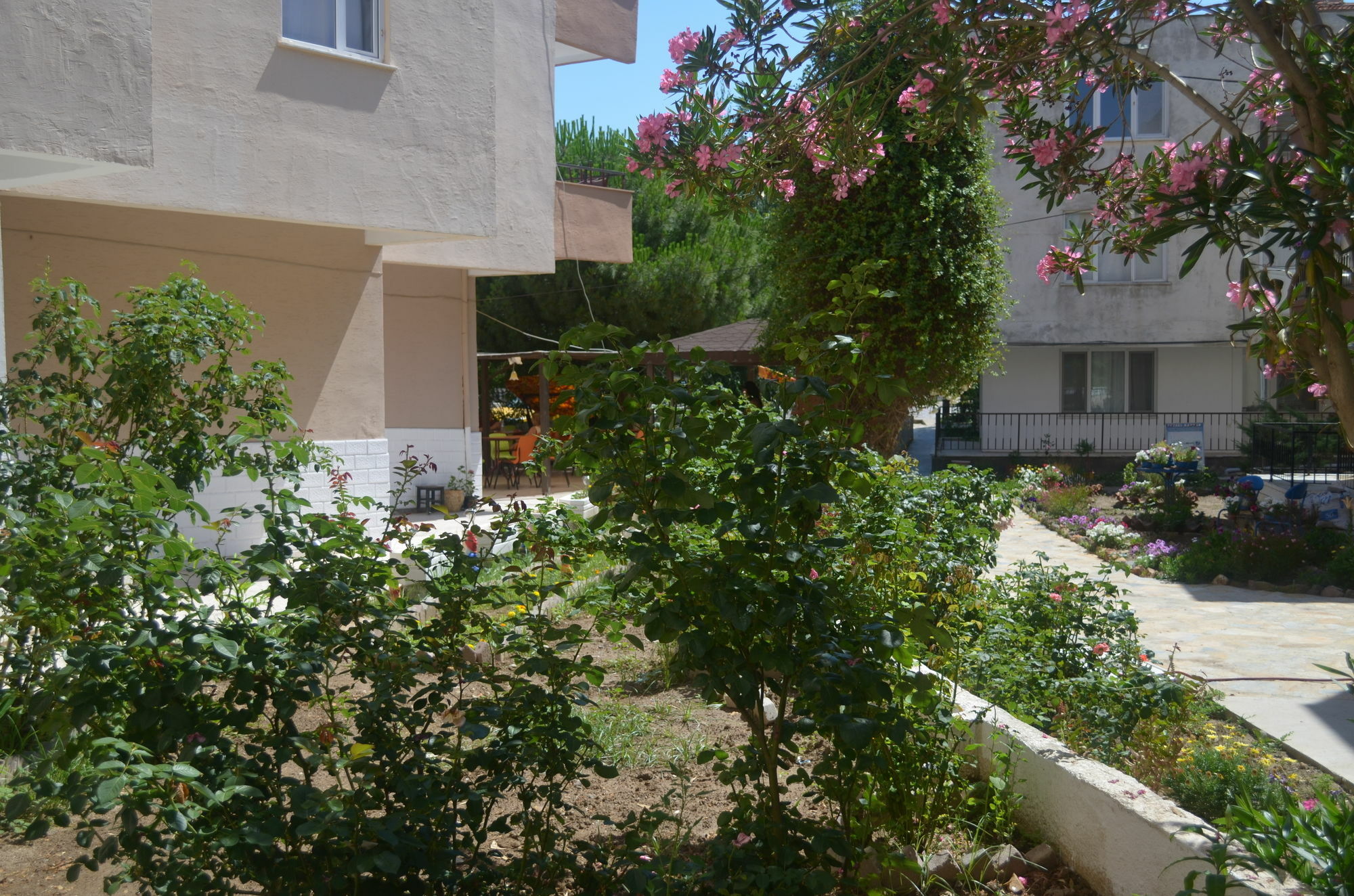 Ahmeda Ayvalı